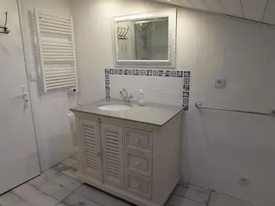 a bathroom with a sink and a mirror and a shower at Le Parc - Suite climatisée in Magrie