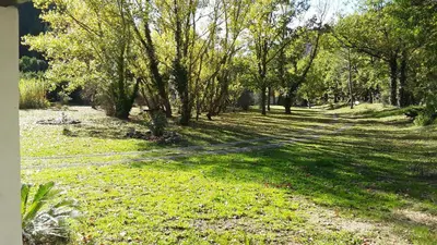 a field of grass with trees and shadows on it at Le Parc - Suite climatisée in Magrie