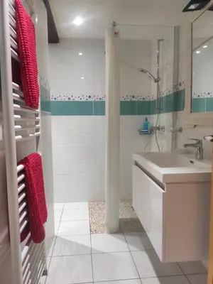 a white bathroom with a sink and a shower at Les chambres de la Caussade in Lautrec