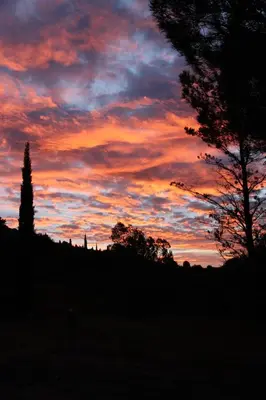a sunset in a field with trees in the foreground at Gites-Terroirs-Occitanie in Felluns