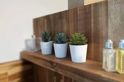 three plants in white pots sitting on a wooden shelf at Le 68b in Carcassonne