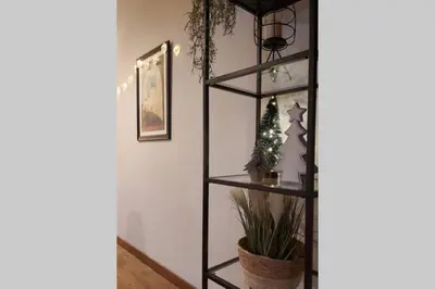 a black shelf with a plant in a room at Le 68b in Carcassonne