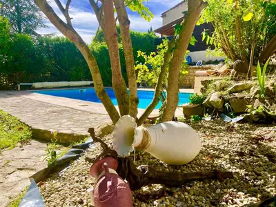 a bottle hanging from a tree next to a pool at L'Ancienne Forge in Villarzel-du-Razès