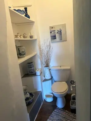 a bathroom with a white toilet and shelves at L'Ancienne Forge in Villarzel-du-Razès