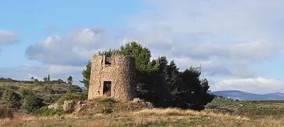 an old stone building sitting in a field at Le Coq du Nord - Mailhac Gîte et Chambres d'Hôtes in Mailhac