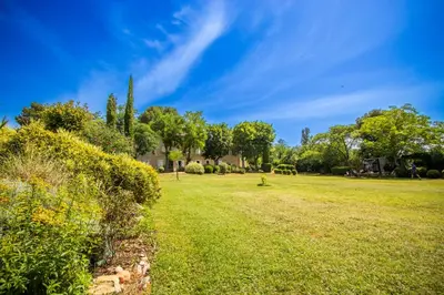 a field with trees and a blue sky at Gîte - Holiday Home Vent Marin in Limoux