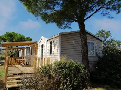 a tiny house with a deck and a tree at Mobil Home climatisé 6 personnes in Port-la-Nouvelle