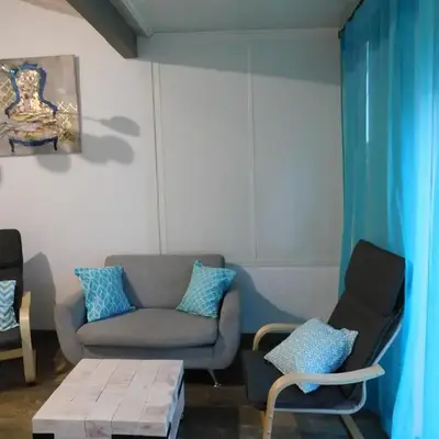 LA MAISON DU LAC climatisée et WiFi gd F3