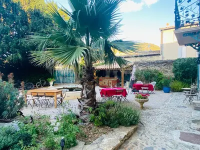 a palm tree in a patio with tables and chairs at Aux Berges du Libre in Félines-Termenès