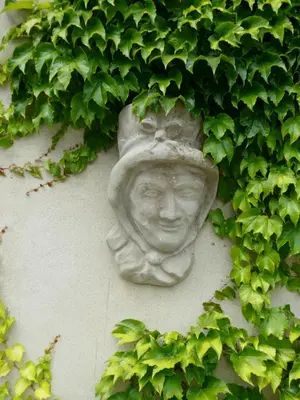 a statue of a face with ivy on a wall at Aux Berges du Libre in Félines-Termenès
