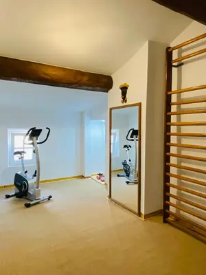a gym with two exercise bikes and a mirror at Aux Berges du Libre in Félines-Termenès