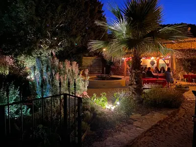 a garden at night with a palm tree and lights at Aux Berges du Libre in Félines-Termenès