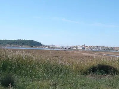 a field of grass next to a body of water at Apartment Les Portes de la Plage by Interhome in Gruissan