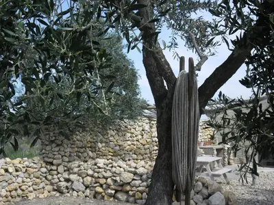 a cactus in a tree next to a stone wall at Mas des 4 Vents in Fitou