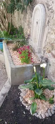 a garden with flowers and a gravestone next to a grave at Le 9 de Cour, Chambre Chaco in Carcassonne