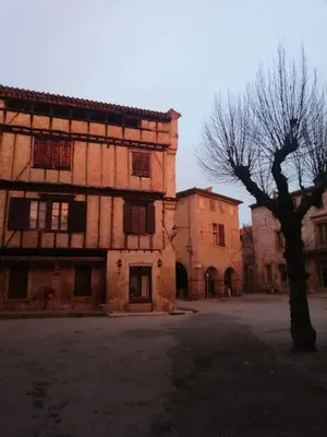 an old building with a tree in front of it at MAISON DE NOSTRADAMUS*** OCCITANIE INSOLITE in Alet-les-Bains