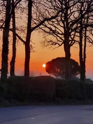 a sunset behind some trees and a road at A l'Ecole Buissonnière, chambre d'hôtes en Sidobre in Lacrouzette