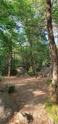 a park with a bench and trees in the background at A l'Ecole Buissonnière, chambre d'hôtes en Sidobre in Lacrouzette