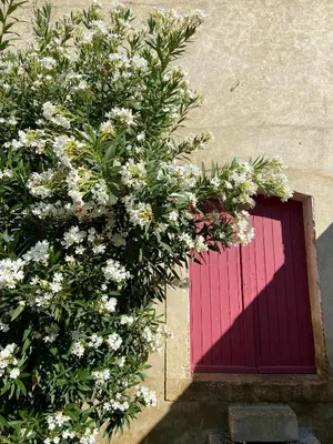 a red door on the side of a building with flowers at La Bastide Saint Etienne in Cournanel