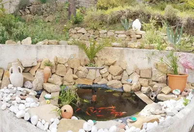 a rock garden with a pond with a fish in it at La Villa du Menhir Gîte in Bize-Minervois