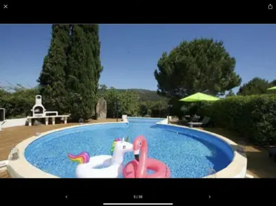 a swimming pool with a plastic animal in it at La Villa Du Menhir Chambre d'hôtes in Bize-Minervois
