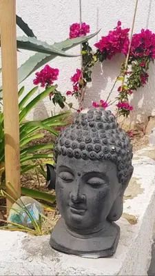 a statue of a head on a wall with flowers at La Villa Du Menhir Chambre d'hôtes in Bize-Minervois