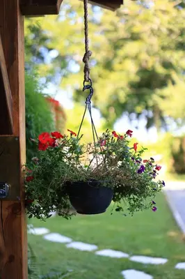 a hanging flower pot with flowers in it at Chambre d'hôtes cosy Le Chalet -Tarn in Lacrouzette