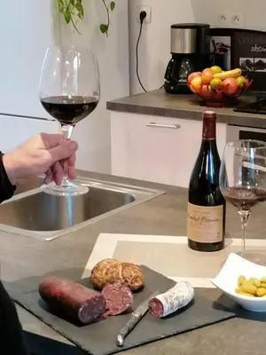 a person holding a glass of wine next to a plate of food at Gite Joséphine dans une tour médiévale - Carcassonne in Saint-Hilaire