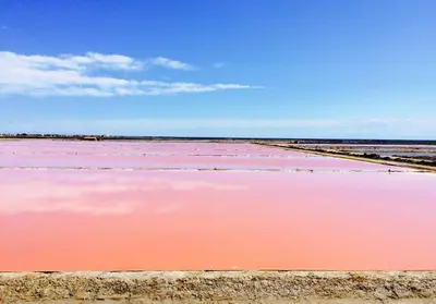 a large body of water with pink water at Gite Joséphine dans une tour médiévale - Carcassonne in Saint-Hilaire