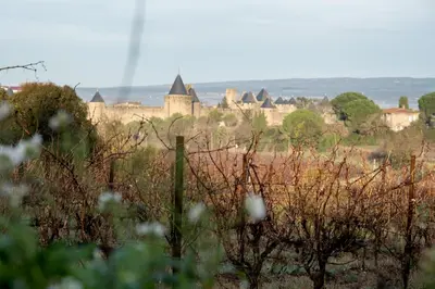 a view of a castle in a field at Villa des Cathares in Carcassonne