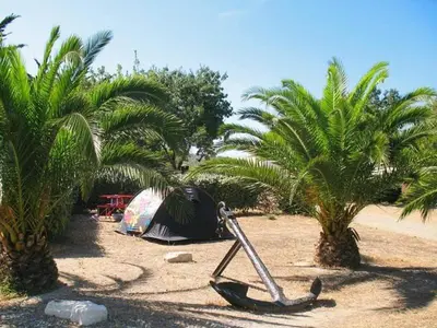 a group of tents and palm trees on a beach at Mobil home 5-6 personnes - climatisé in Port-la-Nouvelle