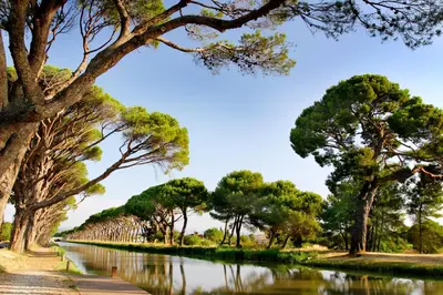 a river with trees on the side of it at Mobil home 5-6 personnes - climatisé in Port-la-Nouvelle