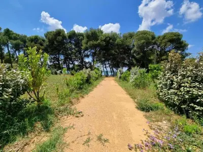 a dirt road in a field with trees at Villa with Pool & Views in Oupia