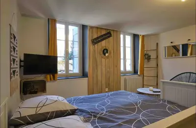 a bedroom with a large bed and a television at Chez Juliette - Appart & Studios - Carcassonne centre in Carcassonne