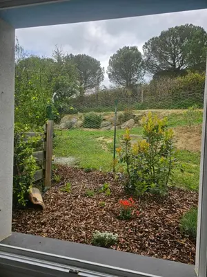 a view of a garden through a window at OXPIRA in Palaja