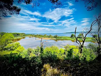 a view of a body of water with trees at Cocoon'House in Gruissan