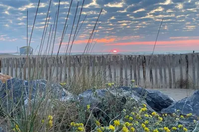 a beach with rocks and a wooden fence at Cocoon'House in Gruissan