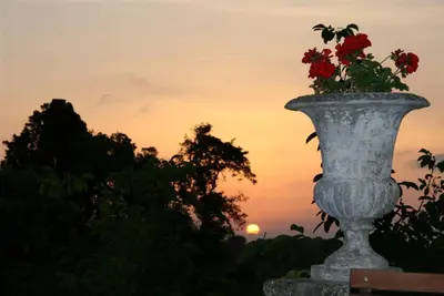 a vase with flowers in it with the sunset in the background at Château De Massignan in Saint-Marcel