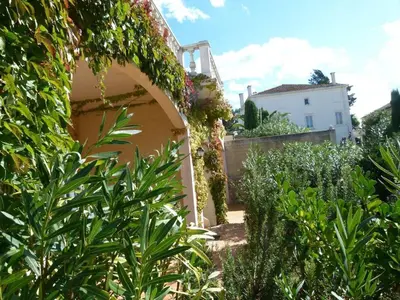 a garden with green plants and a building at Château De Massignan in Saint-Marcel