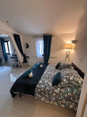 a bedroom with a large bed with a black blanket at LE CORS’HALLES in Narbonne