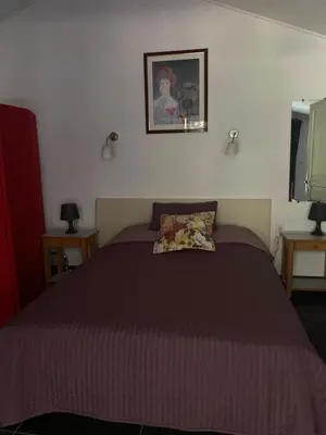 a bedroom with a bed and a tv at Location gîte 4 personnes Mazères - La Petite Maison in Mazères