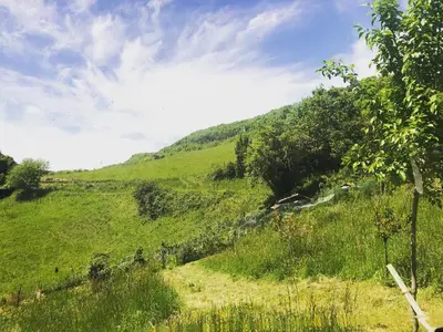 a green hillside with trees and grass on it at Gîte Aurinko : caravane avec bain nordique in Roquefort-les-Cascades