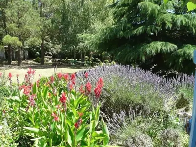 a garden with pink flowers and purple plants at Villa L'ESTRADE in Montréal