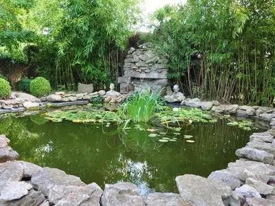a pond with lilies in a garden at Villa L'ESTRADE in Montréal