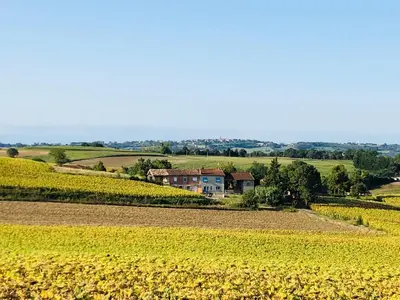 a house in the middle of a field of yellow flowers at les gîtes d'en Julio in Puylaurens