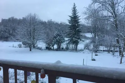 a snow covered yard with trees and a fence at Le gîte de la vallée du Douctouyre in Dun