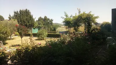 a garden with flowers and trees in the background at La Vigneronne in Villelongue-dʼAude