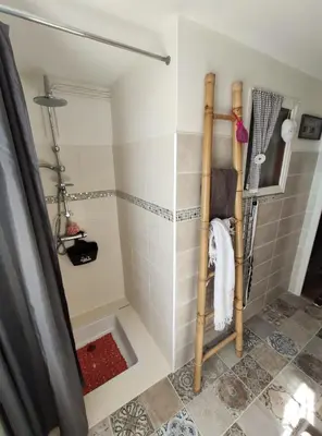 a shower in a bathroom with a shower curtain at Le clos de josephine in Peyregoux