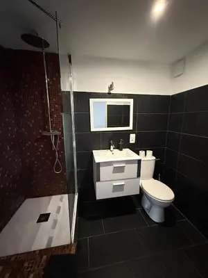 a bathroom with a toilet and a sink and a shower at L'atelier in Capestang