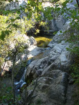a stream of water with rocks and trees at RIBES - Chalet Gîte au coeur de la nature in Sournia